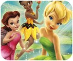 TinkerBell: Truy tìm ẩn số